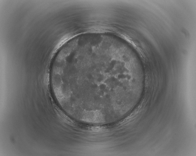 X0000115741459200912101304