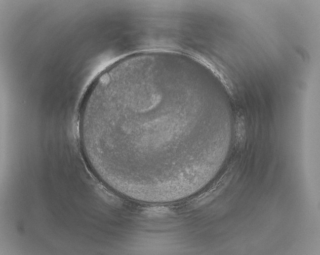 X0000115741462200912101304