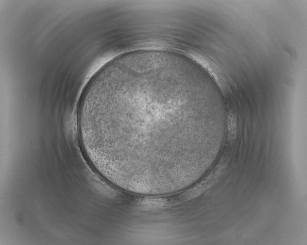 X0000115741466200912101304