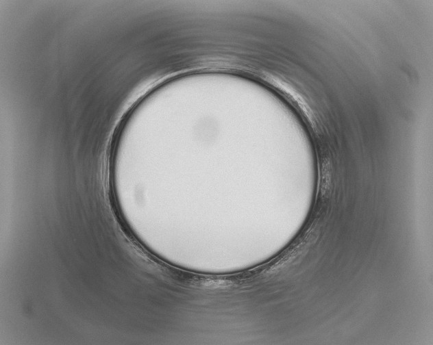 X0000115741467200912101304