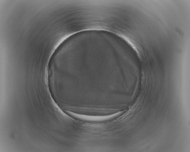 X0000115741468200912101304