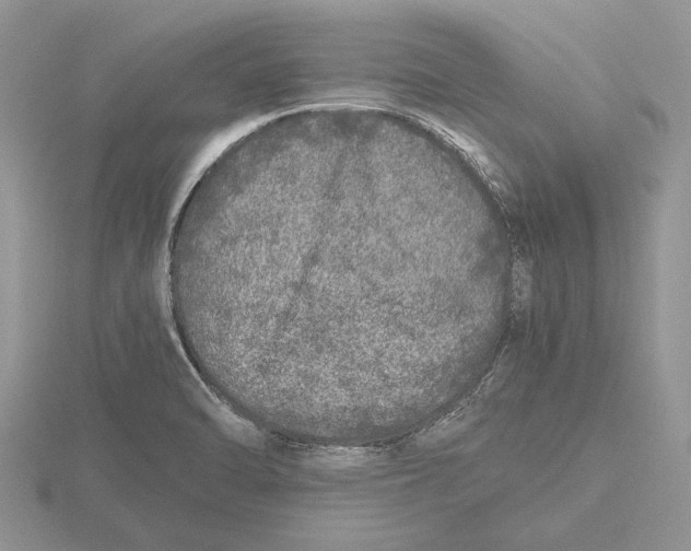 X0000115741470200912101304