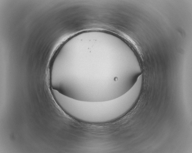 X0000115741472200912101304