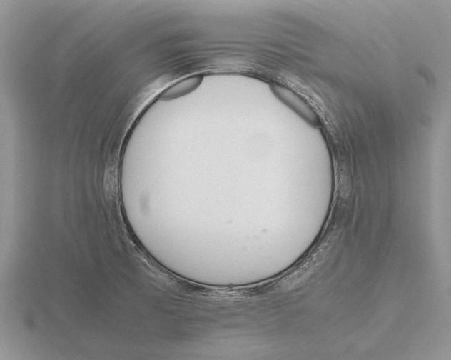 X0000115741473200912101304