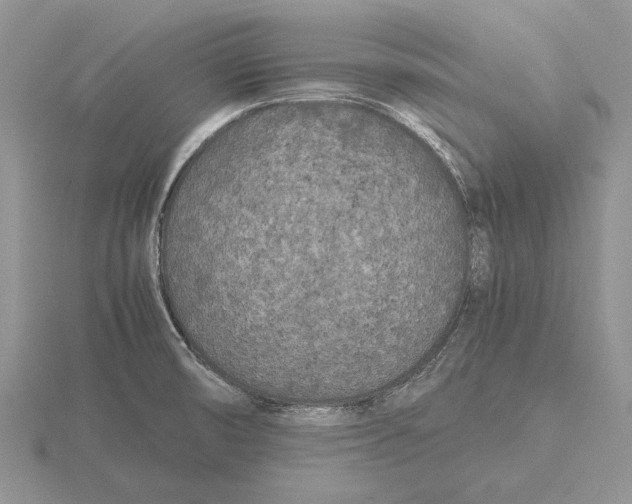 X0000115741474200912101304