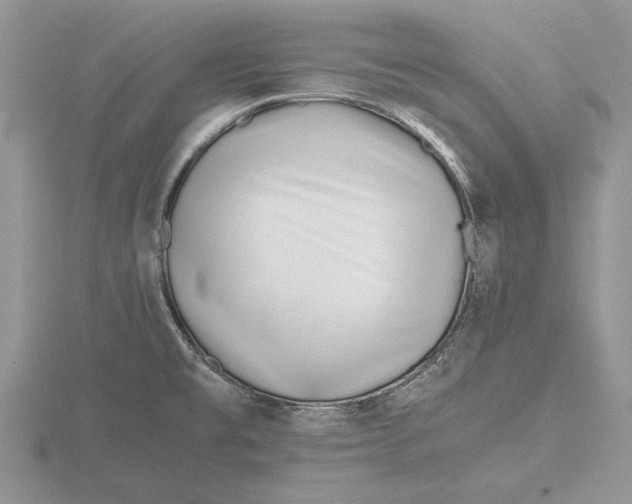 X0000115741477200912101304