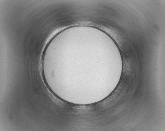 X0000115741478200912101304