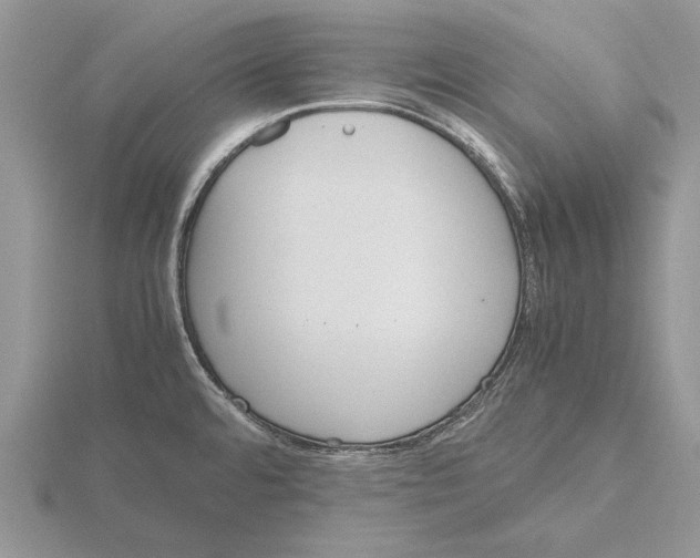 X0000115741480200912101304