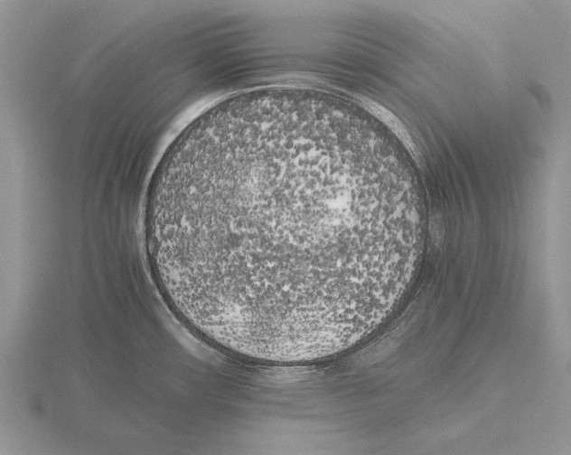 X0000115741482200912101304