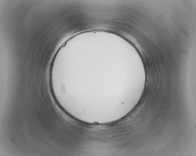 X0000115741483200912101303