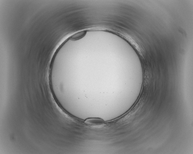 X0000115741484200912101303