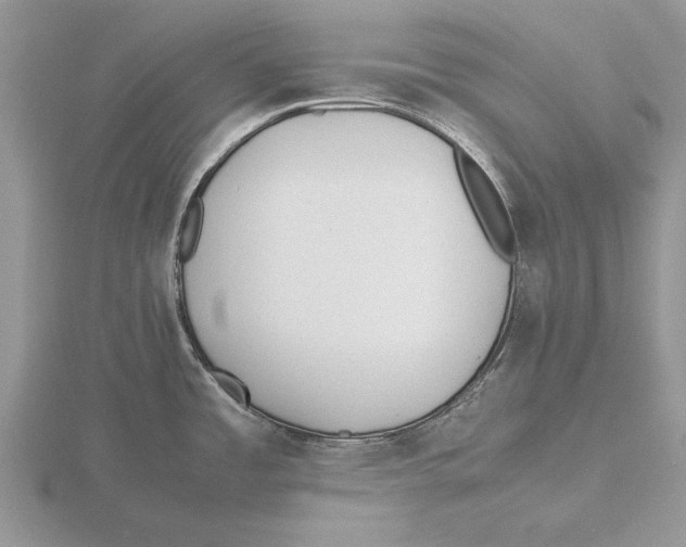 X0000115741485200912101303