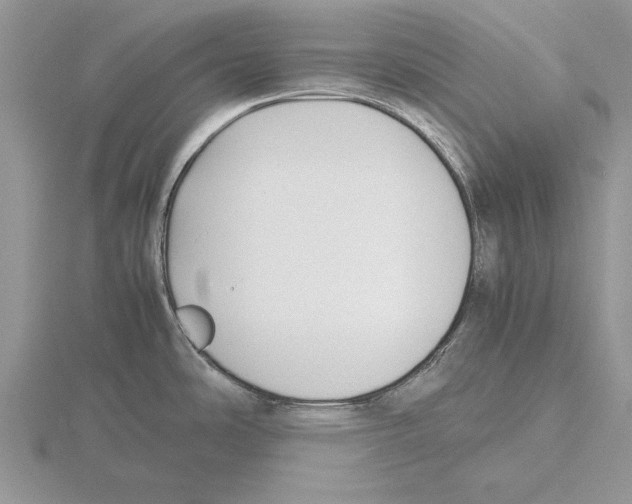 X0000115741486200912101303