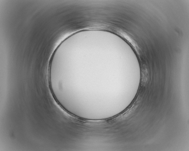 X0000115741487200912101303