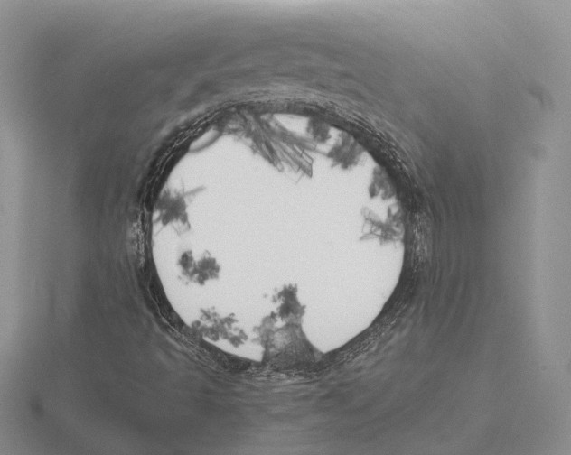 X0000115741493200912101303