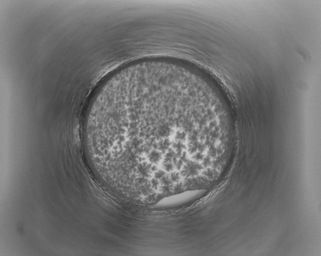 X0000115741497200912101303