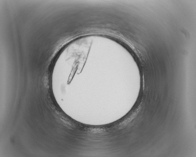 X0000115741501200912101303