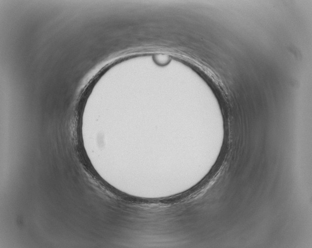 X0000115741502200912101303