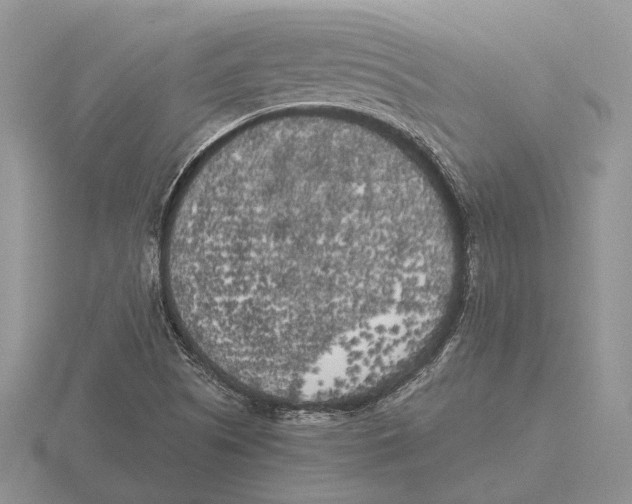 X0000115741505200912101303