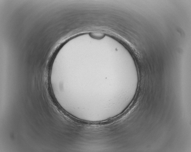 X0000115741506200912101303