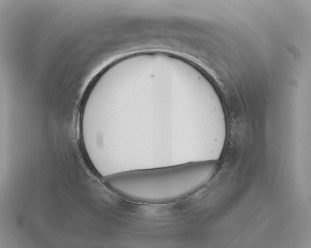 X0000115741510200912101303