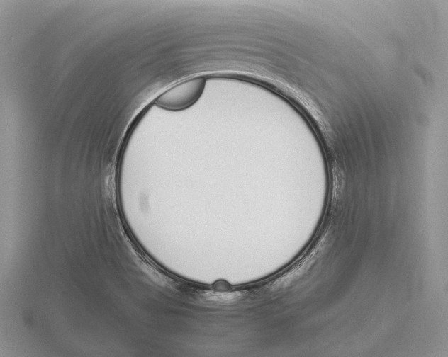 X0000115741513200912101303