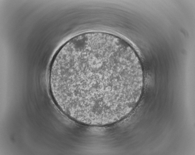 X0000115741514200912101303