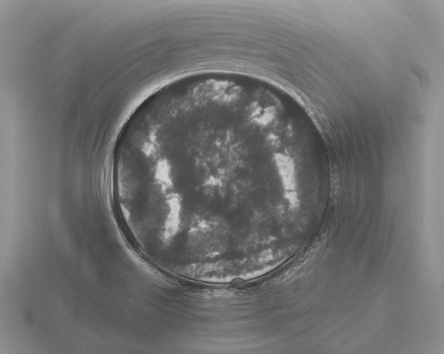 X0000115741515200912101303