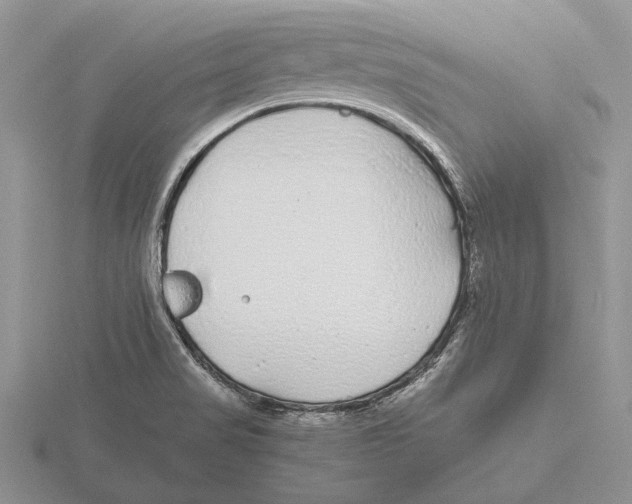 X0000115741517200912101303