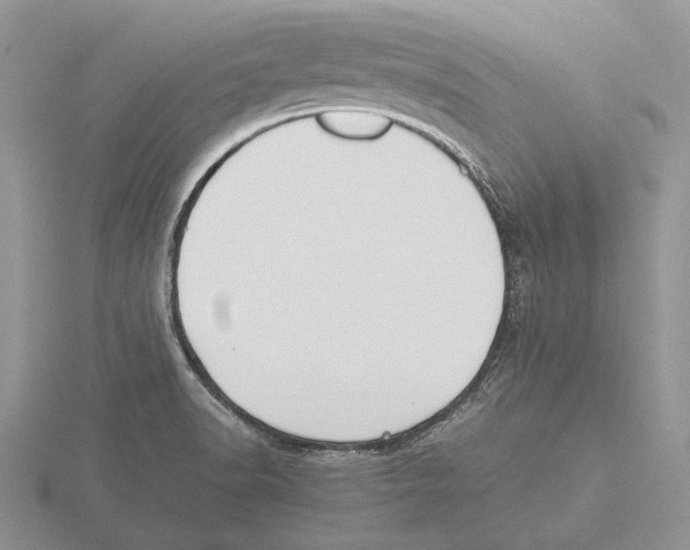 X0000115741518200912101303