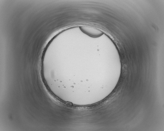 X0000115741523200912101303