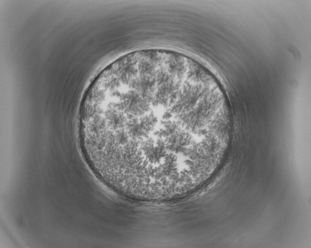 X0000115741525200912101303