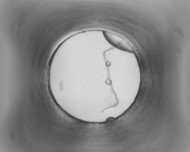 X0000115741526200912101303