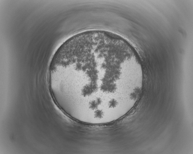 X0000115741527200912101303