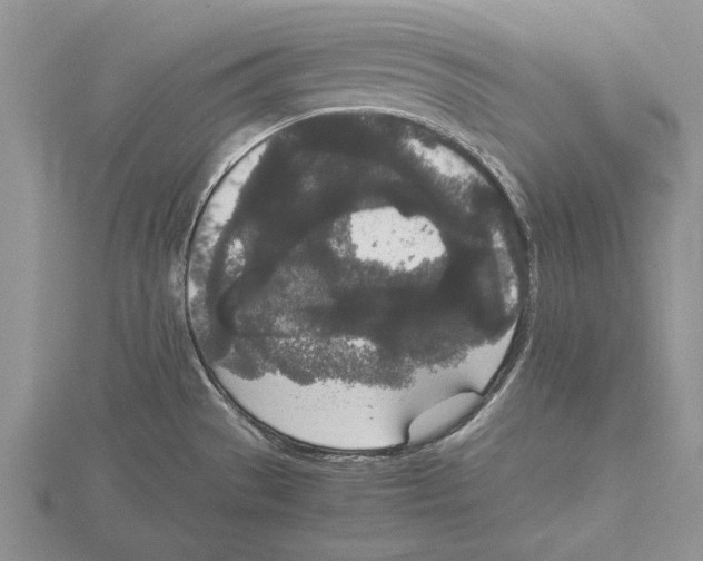 X0000115741529200912101303