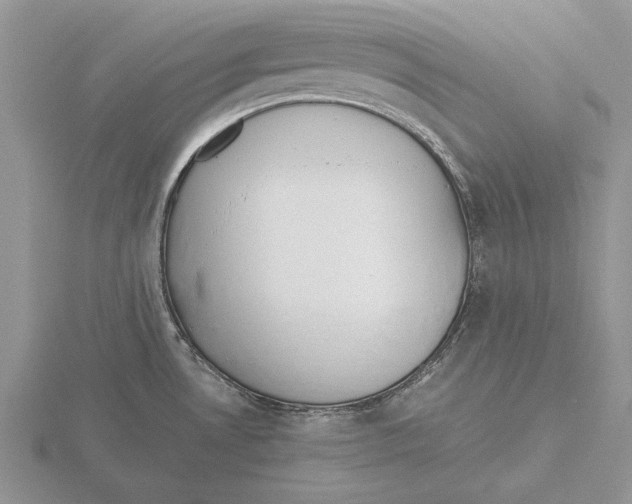 X0000115741530200912101303