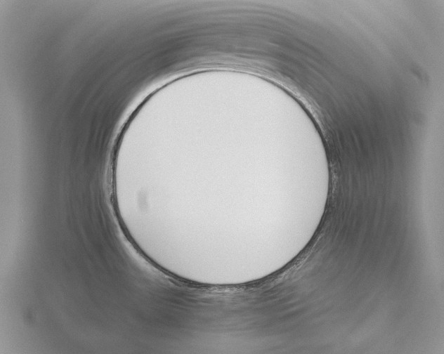 X0000115741531200912101303