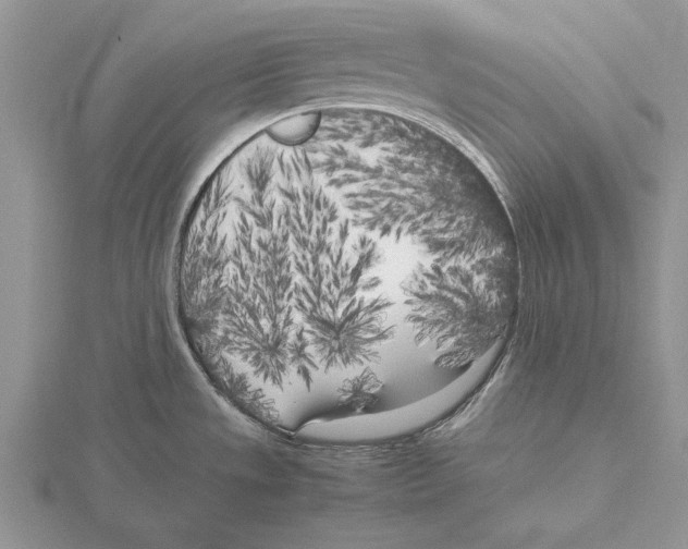 X0000115741533200912101303