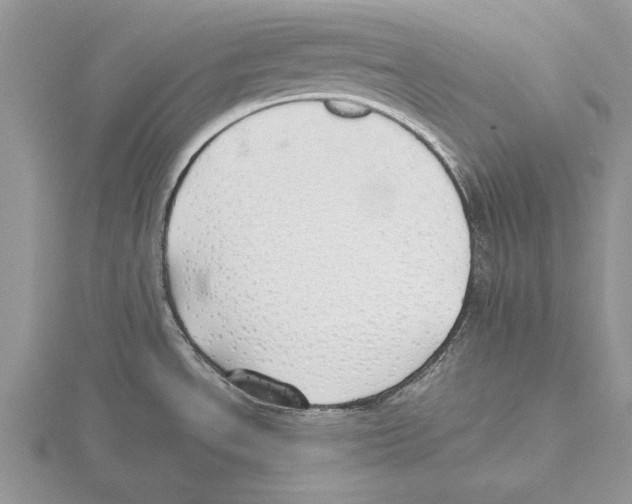 X0000115741534200912101303