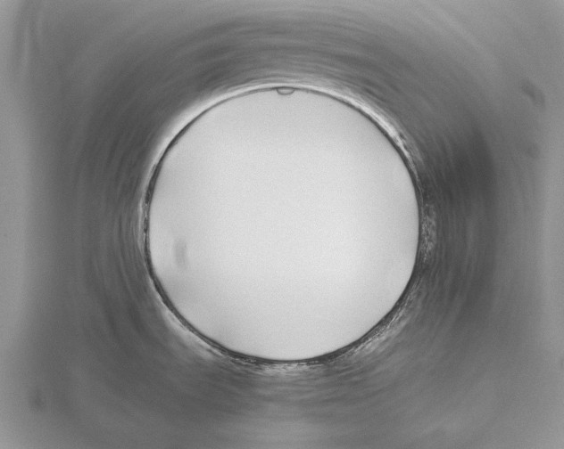 X0000115741535200912101303