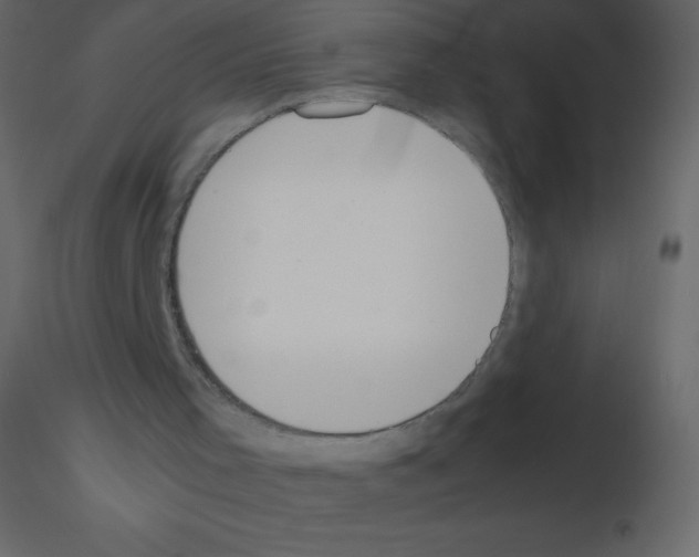 X0000115740001200912241657