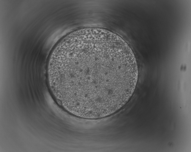 X0000115740002200912241657