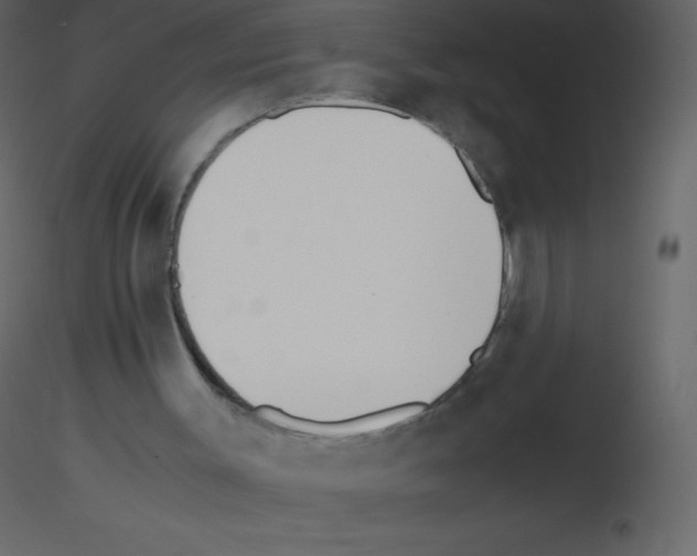 X0000115740003200912241657
