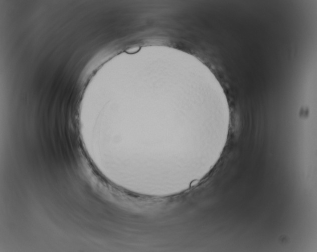 X0000115740004200912241657