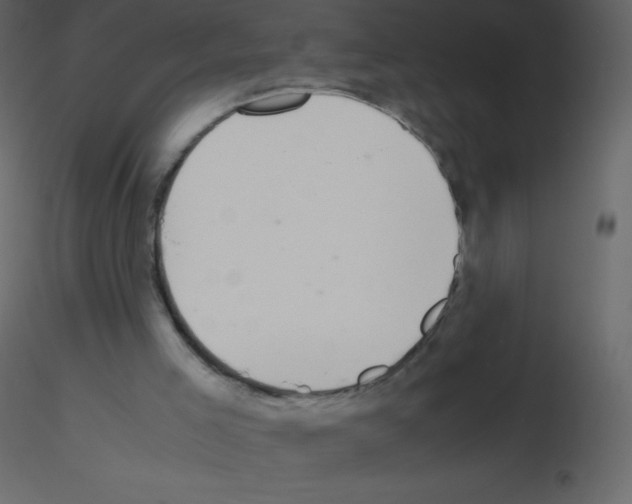 X0000115740005200912241657