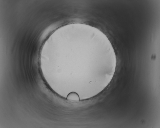 X0000115740006200912241657