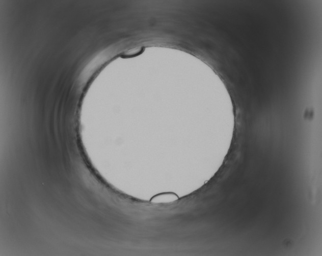 X0000115740007200912241657