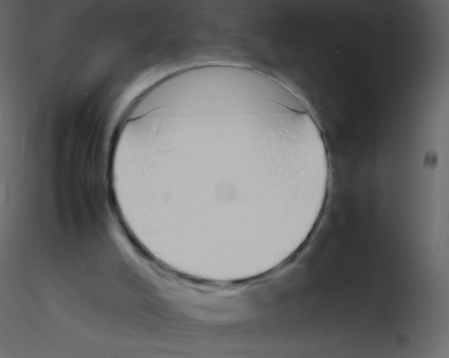 X0000115740008200912241657