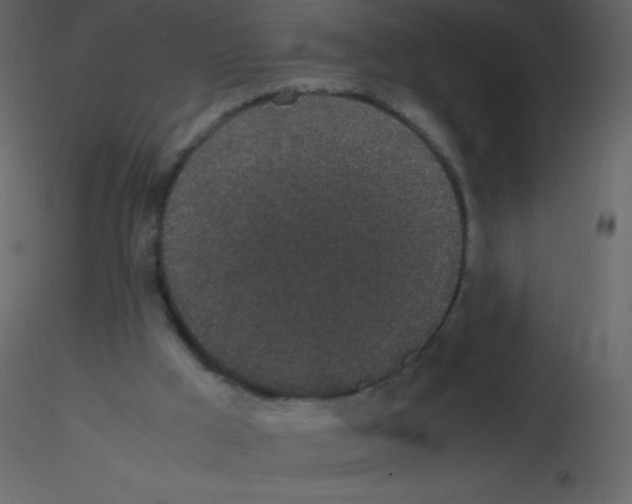 X0000115740009200912241657