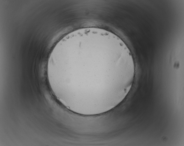 X0000115740010200912241657